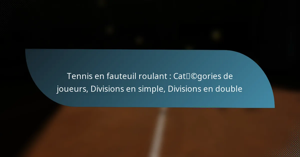 Tennis en fauteuil roulant : Catégories de joueurs, Divisions en simple, Divisions en double
