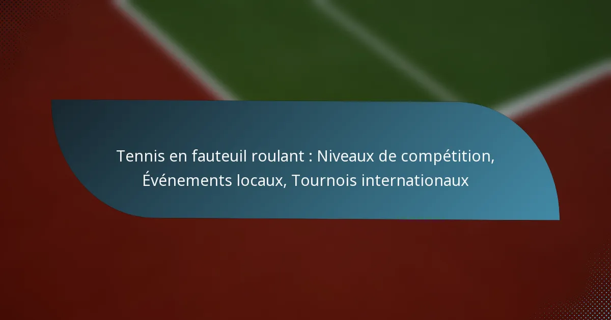 Tennis en fauteuil roulant : Niveaux de compétition, Événements locaux, Tournois internationaux