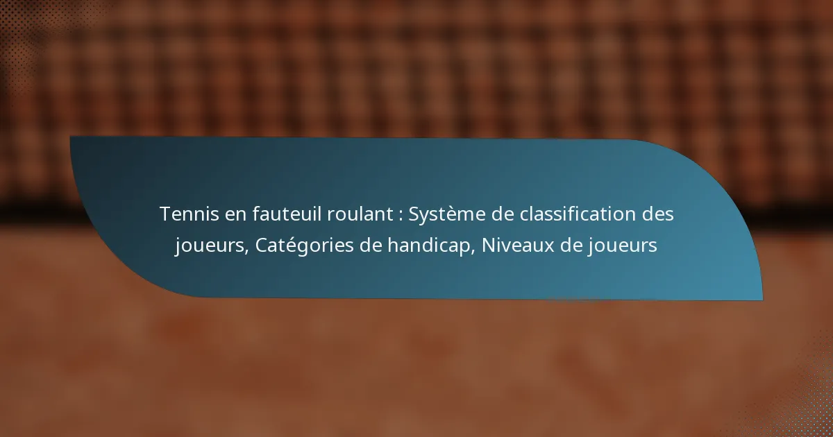 Tennis en fauteuil roulant : Système de classification des joueurs, Catégories de handicap, Niveaux de joueurs