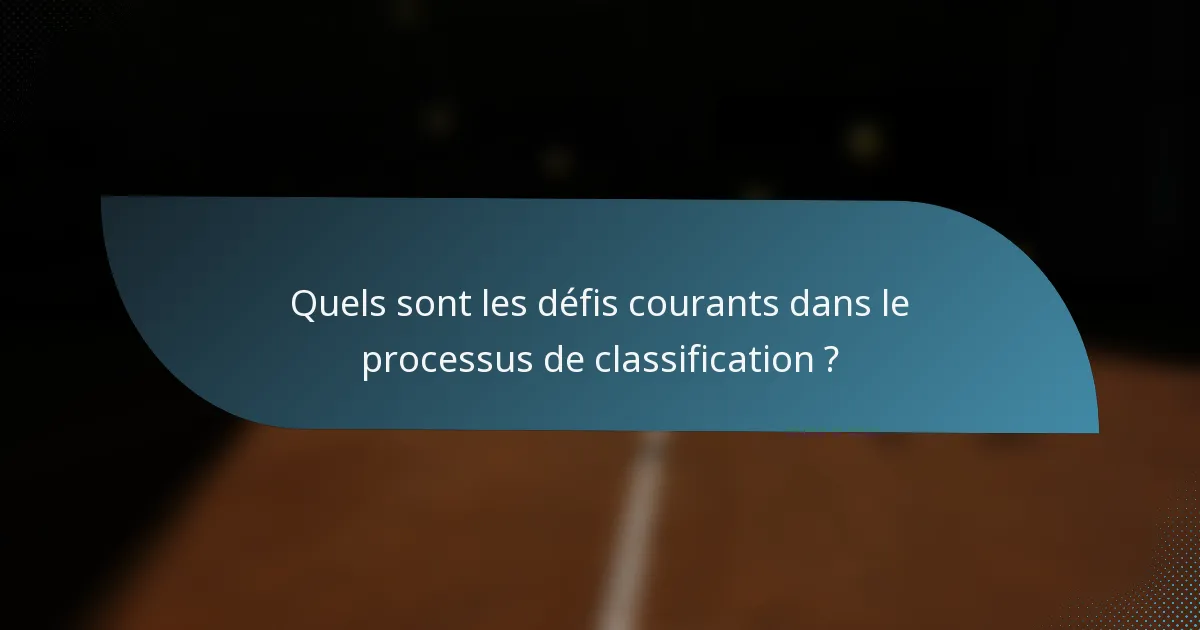 Quels sont les défis courants dans le processus de classification ?
